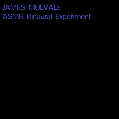 歌手 James Mulvale