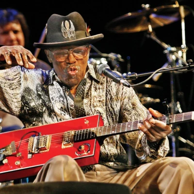 歌手 Bo Diddley