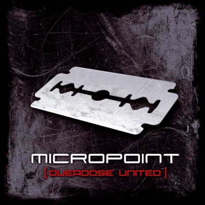 Micropoint/Bloodievoice Junk Box