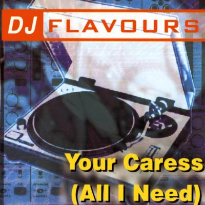 歌手 DJ Flavours