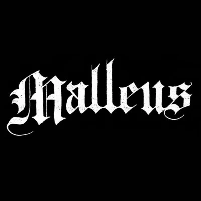 歌手 Malleus