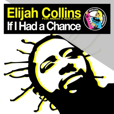 歌手 Elijah CollinsDashdot