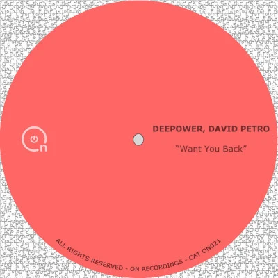 歌手 David Petro