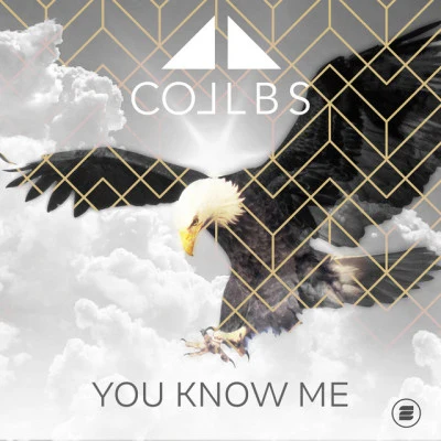 歌手 COLLBS