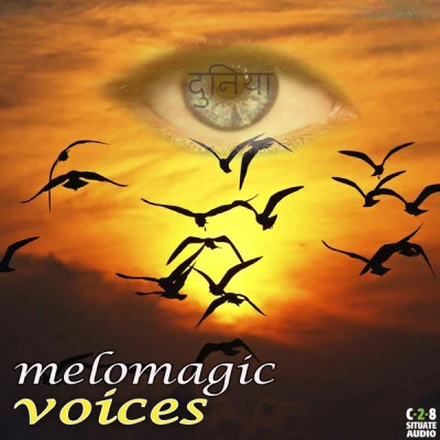 歌手 MeloMagic