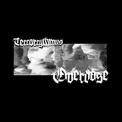 歌手 Terrorrythmus