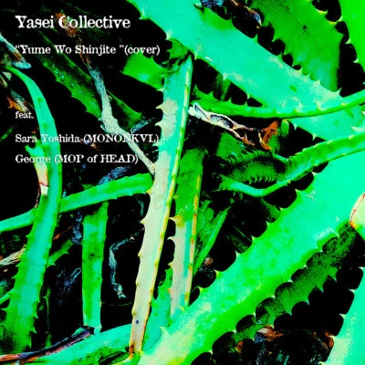 Yasei Collective/Takuya Kuroda/KID FRESINO Liquid