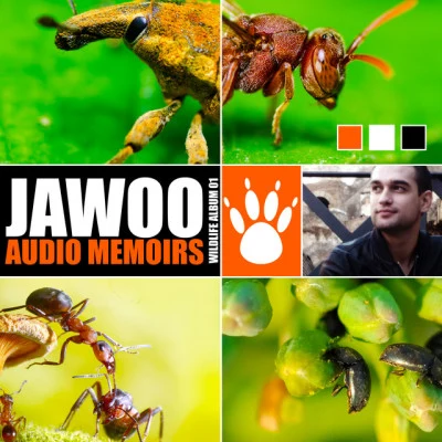 Jawoo 神頭鬼臉