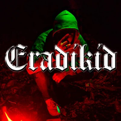 歌手 Eradikid