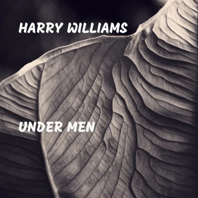 歌手 Harry Williams