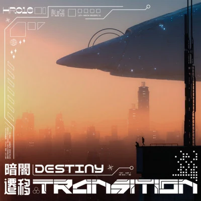 歌手 暗闇DESTINY