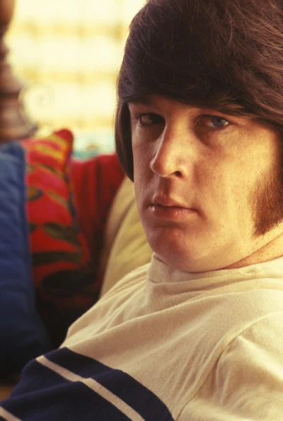 歌手 Brian Wilson