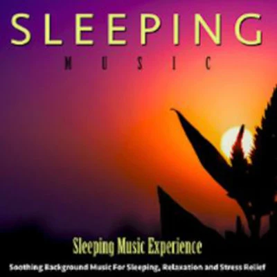 歌手 Sleeping Music ExperienceSleeping MusicThunder and Rain Storm