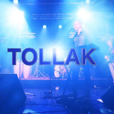 歌手 Tollak Ollestad