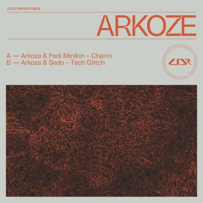 歌手 ArkozeTephra & Arkoze