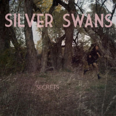 歌手 Silver Swans