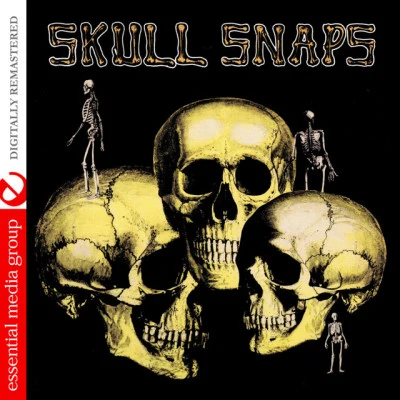 歌手 Skull Snaps