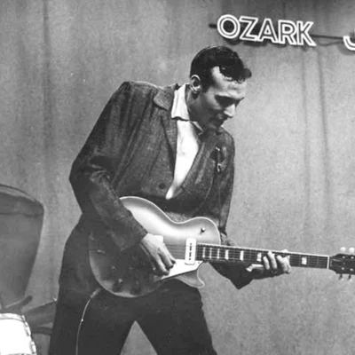 歌手 Carl Perkins