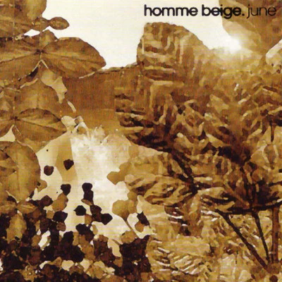 歌手 Homme Beige