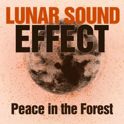 歌手 Lunar Sound Effect