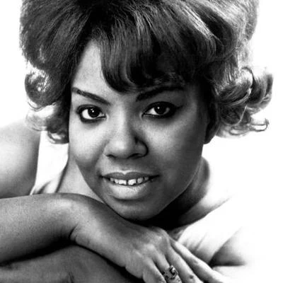 歌手 Mary Wells