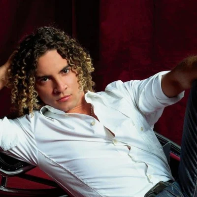 歌手 David Bisbal