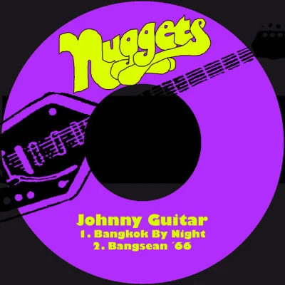 歌手 Johnny Guitar