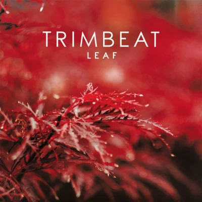 歌手 Trimbeat