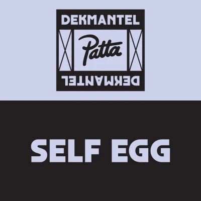 歌手 Self Egg