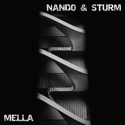 歌手 Nando &amp; Sturm