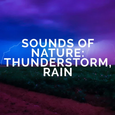 歌手 Sounds Of Nature : Thunderstorm, RainMeditation Rain SoundsSounds of Nature Noise