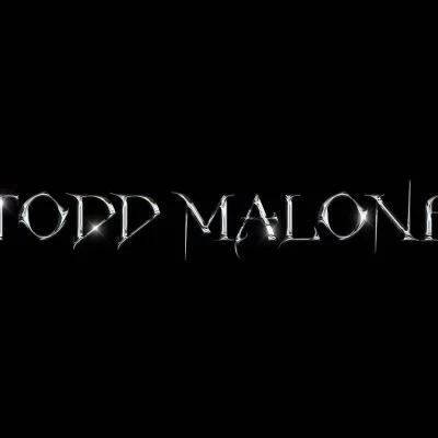 歌手 Todd Malone