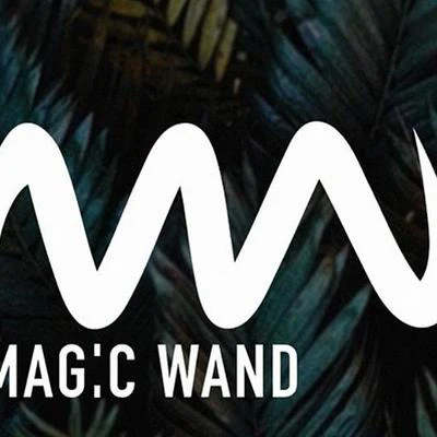 歌手 Magic Wand