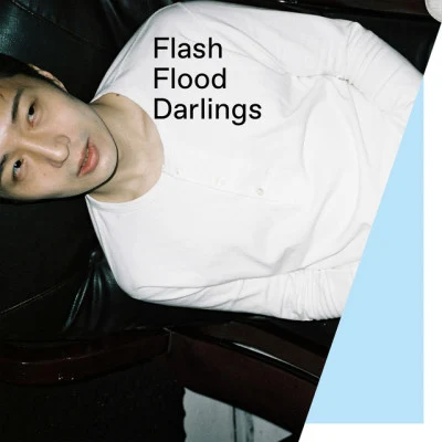 歌手 Flash Flood Darlings