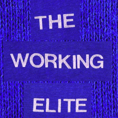 歌手 The Working EliteQuintino & Blasterjaxx