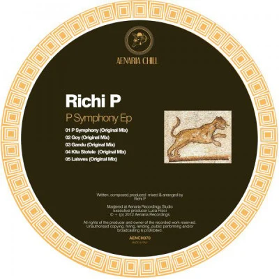 歌手 Richi P