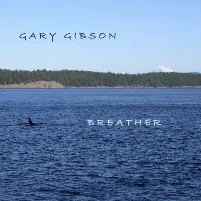 歌手 Gary Gibson