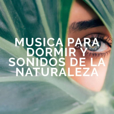 歌手 Musica Para Dormir y Sonidos de la NaturalezaKinderlieder-SuperstarAmbient Music Therapy