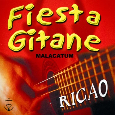 歌手 Ricao