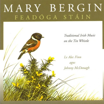 歌手 Mary Bergin