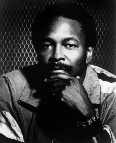 歌手 Alphonse Mouzon