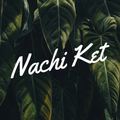 歌手 Nachiket