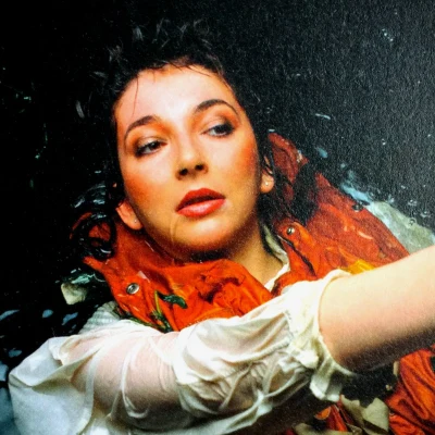 歌手 Kate Bush