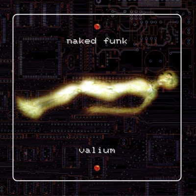 歌手 Naked Funk