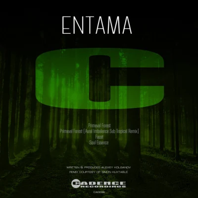 歌手 Entama