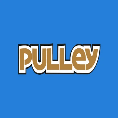 歌手 Pulley