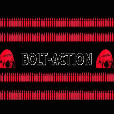 歌手 Bolt-ActionFALSE HERO