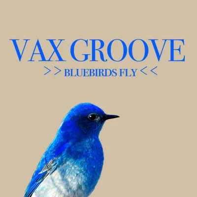 歌手 Vax Groove