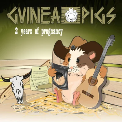 歌手 Guinea Pigs