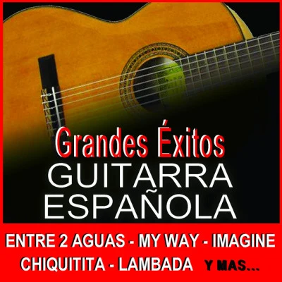 Salvador Andrades/Dionisio Aguado/Alberto Fernández/Ramirez/Various flamenco guitarrist/Juan España 吉他 弗拉門戈